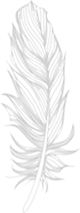 Feather illustration